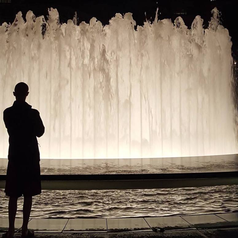 12049353_982095685211551_8511282034002356220_n